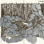 the demon's viscera5