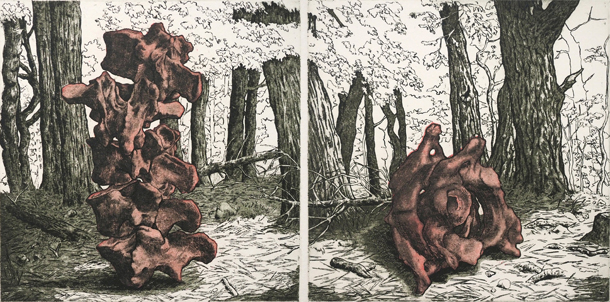 pale pink bones: deep forest