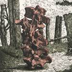 pale pink bones: deep forest