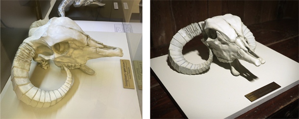 remnants beyond the end