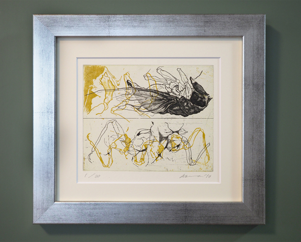 thinking about insect: cicada Ⅱ