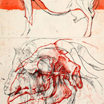 thinking about goats