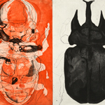 thinking about insect collections