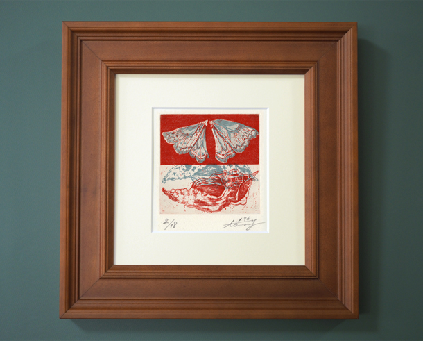 thinking about insect: lepidoptera