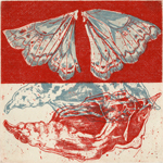 thinking about insect: lepidoptera