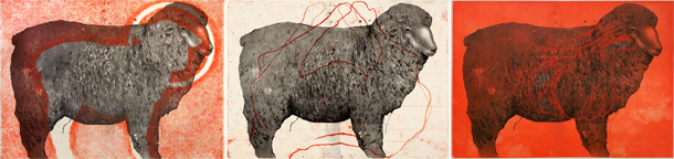 thinking about sheep