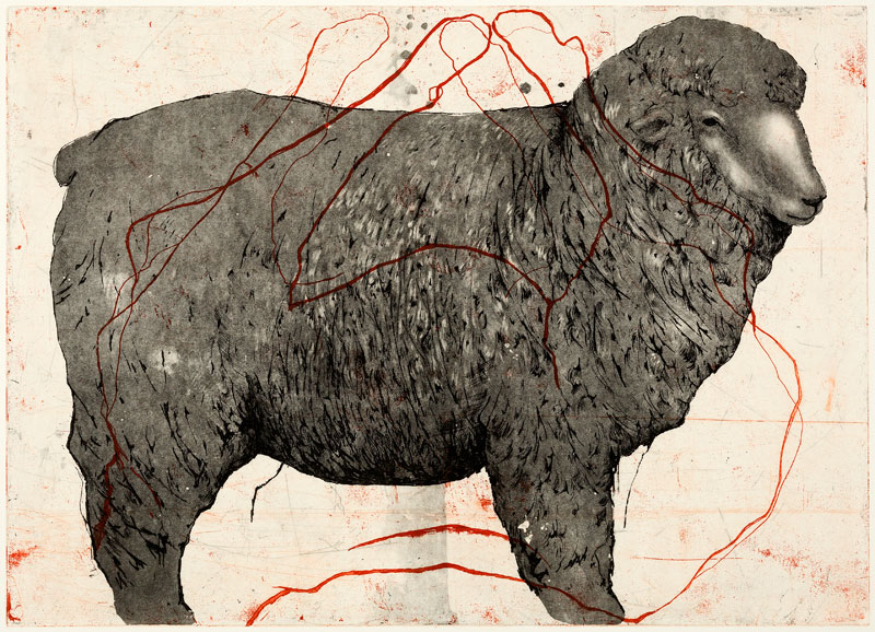 thinking about sheep