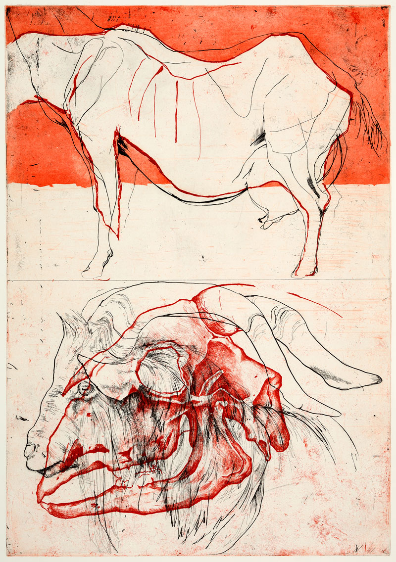 thinking about goats